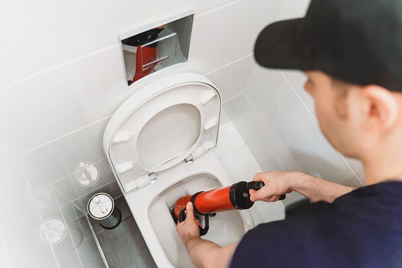 Clogged Toilet 810x540 1