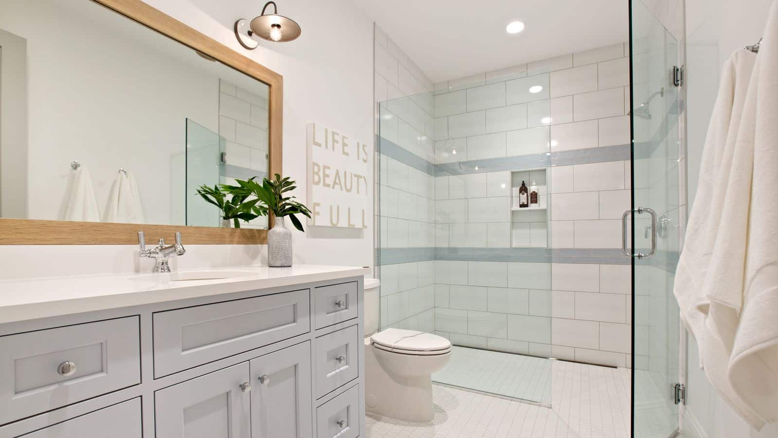 Walk in shower stall and toilet in a bathroom