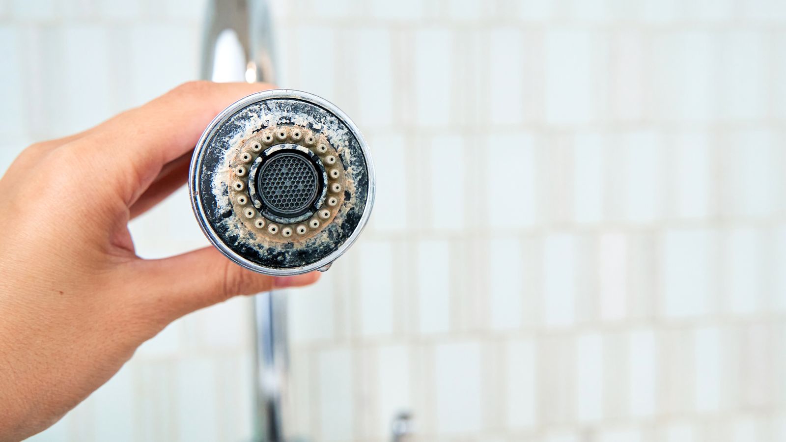 A showerhead showing sediment build up of hard water